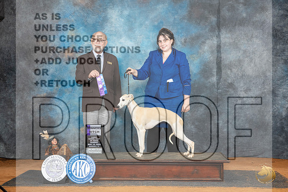 Whippet #16 Sat WB Judge Tim Robbins__JP_8635_MARSHALL_2024_HR3
