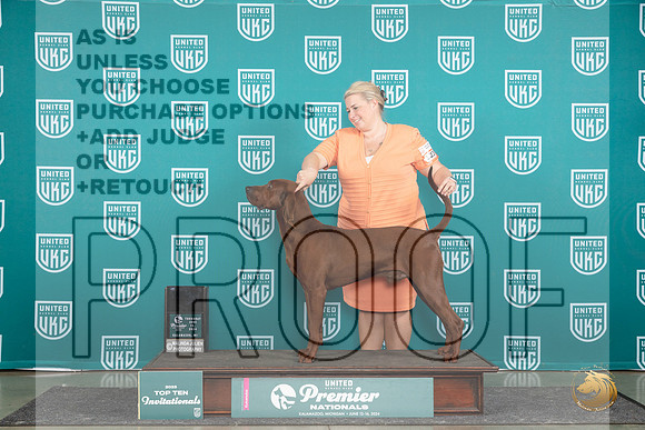 Redbone #1234 Thur SF Judge Deb Allen__JP_1181_Premier_2024_HR3