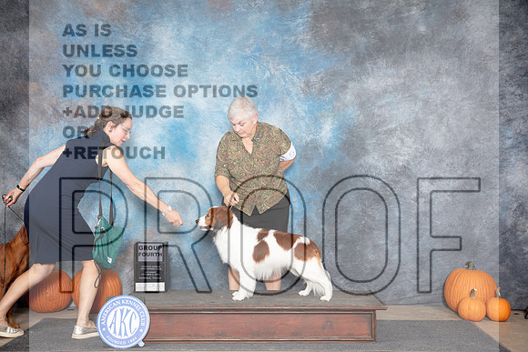 Nederlandse Kooikerhondjes #5 Sat G4 Judge Ann Roth__JP_8847_Humble_2024_HR3