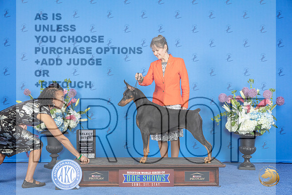 Doberman #48 WED SB Judge Alisa Brotherhood__JP_0261_Houston_2024_HR3