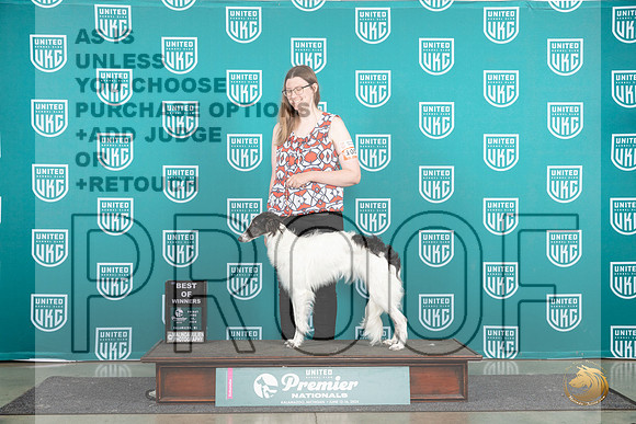 Silken Windhound #1052 Fri BOW Judge Kathie Short__JP_1658_Premier_2024_HR3