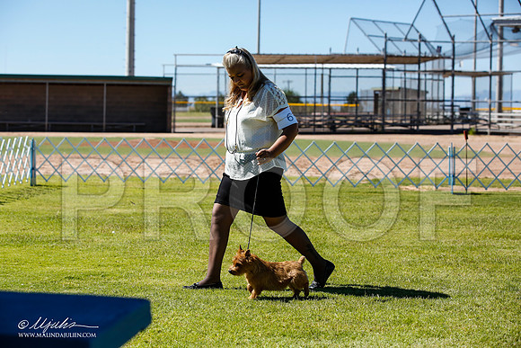 _JN_4821-AlamogordoOct2014-HR3