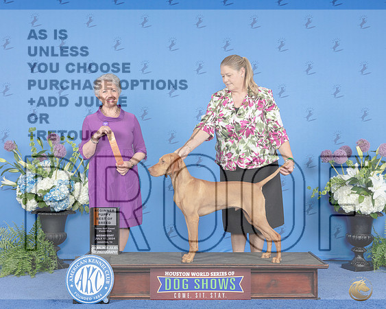 Vizsla #23 WED BPISS BP4to6 Judge Ida Kavafian__JP_8361e_Houston_2024-HR3.jpg