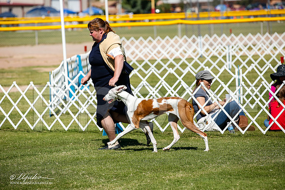 _JJ_7651-AlamogordoOct2014-HR3