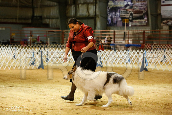_JN_3533-2-GlenRoseJan2015-HR3