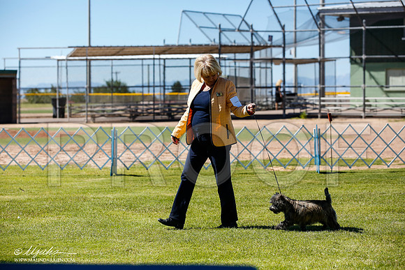 _JN_4831-AlamogordoOct2014-HR3