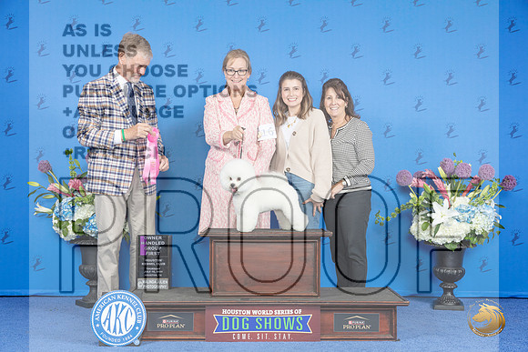 Bichon Frise #16 THUR OHG1 Judge Wood Wornall__JP_8464_Houston_2024_HR3