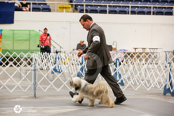 _JJ_9398-AblnMay2014-web