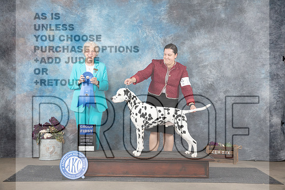 Dalmation #19 Sat G1 Judge Sulie Greendale-Paveza__JP_7528_Belton_2024_HR3