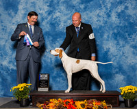 Pointers #14 Sun BOW Maj Cheek Kelley Kim Witt Judge Mr James Fehring