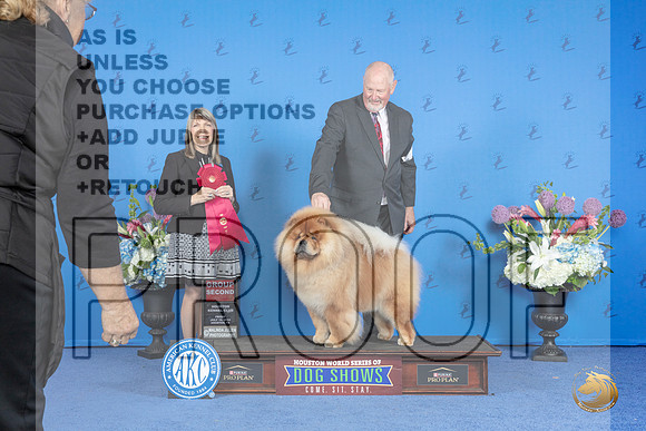Chow Chow #5 FRI G2 Judge Angela Pickett__JP_9548_Houston_2024_HR3