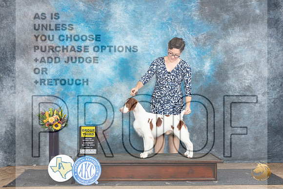 Brittany #17 Sat G3 Judge Sharol Candace Way__JP_0084_Abilene_2024_HR3