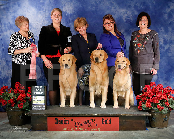 StudDog-8380-WFOct2013-HR