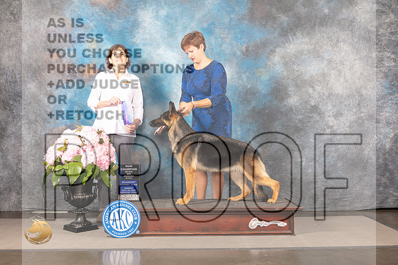 German Shepherd Dog #30 SUN WB NCH Judge Carrie Chase_MJ_7450_Houston_2022_HR3