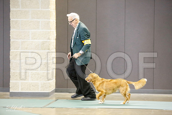 _LH_3103-BeltonJan2015-HR3