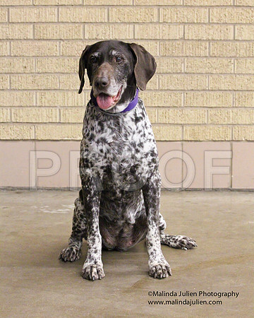 GSP-0168