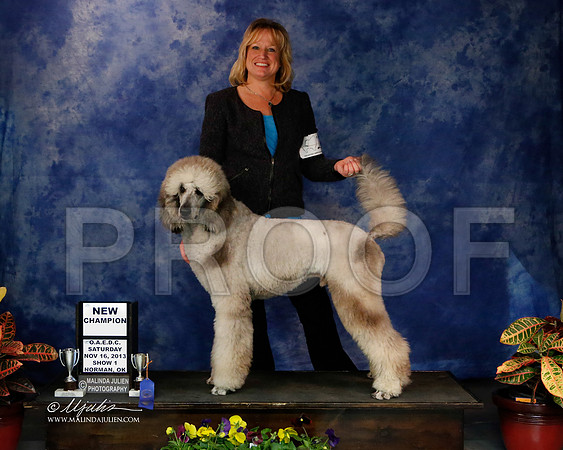 PoodStd-2-50-NormNov2013-HR