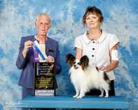 Papillon #9 Sat BOW Able-Jones Jennifer Judge Mary Lou Kniola +A2