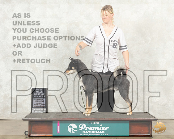 Shikoku #741 Fri BOW Judge Jeanne Heger__MJ_9333_Premier_2022_HR3
