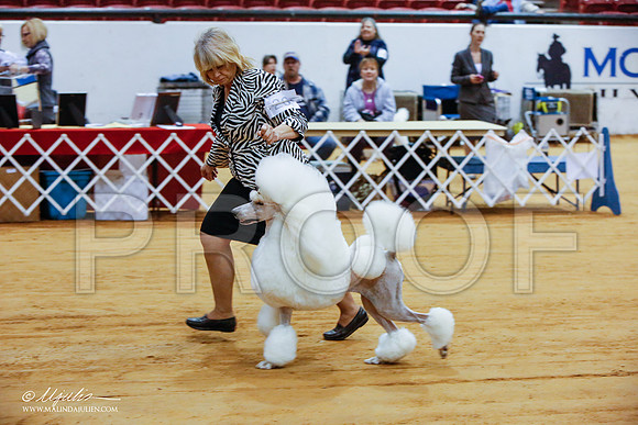 _JJ_3876-GlnRoseJan2015-HR3