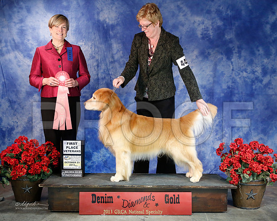 Vet-6354-WFOct2013-HR