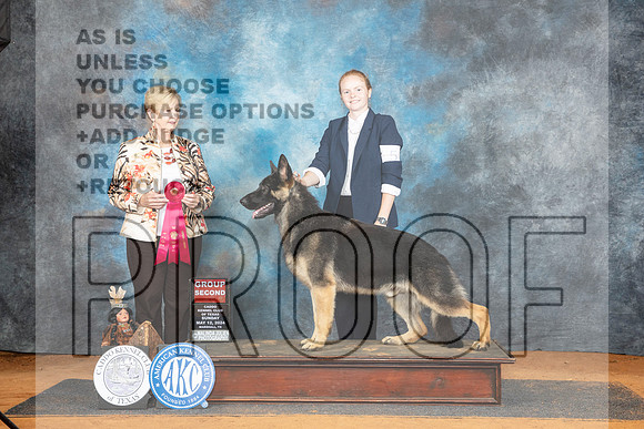 German Shepherd Dog #5 Sun G2 Judge Karen Hynek__JP_8693_MARSHALL_2024_HR3