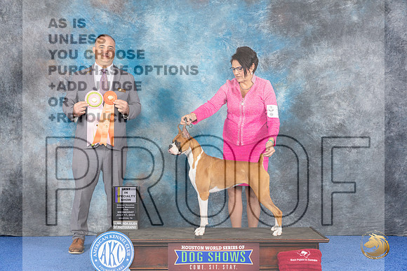 Boxer #10 WED BISw Judge Chris Leitkowski__JP_6520_Houston_2024_HR3