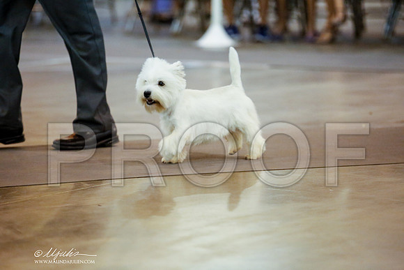 _JJ_8041-DalJul2014-HR3