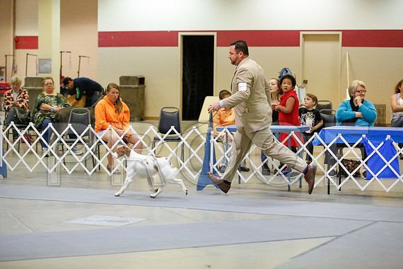 _JJ_0854-AmarilloSept2014-HR3