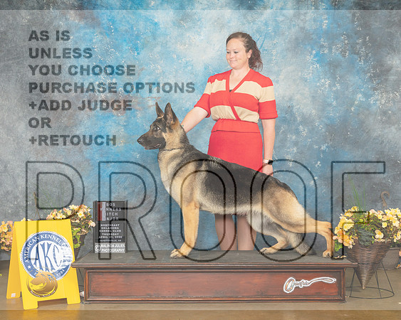 German Shepherd Dog #34 BOS Judge Betty Pollock-MMJ_8677-NWARK2022-HR3