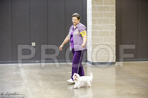_J3L0061-BeltSep2014-HR