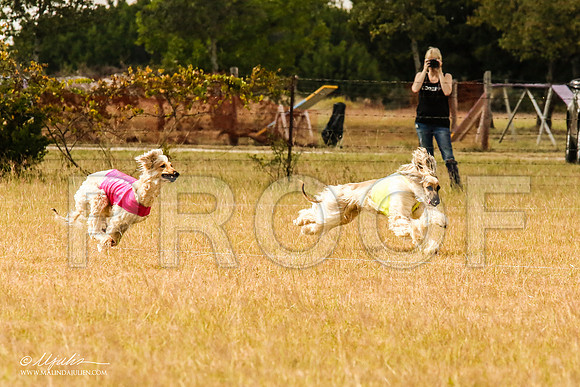 _MJ_5124-AfgBeltonOct2014-HR3