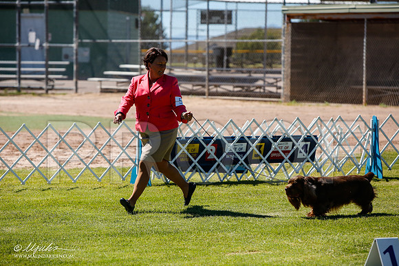 _JJ_5246-AlamogordoOct2014-HR3