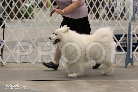 IMG_8923-Abilene2011-HR3