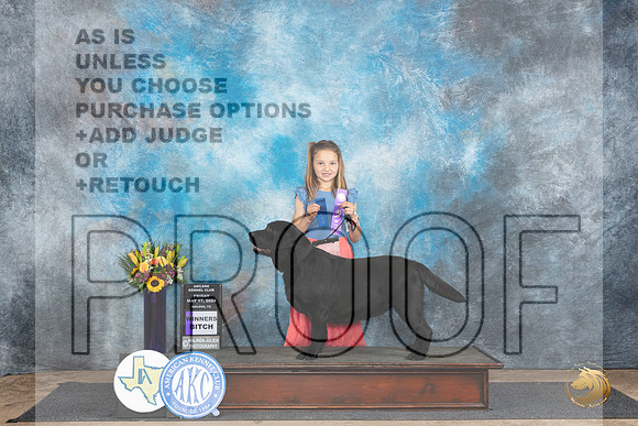 Labrador Retriever #14 Fri WB Judge Vicki Abbott__JP_9184_Abilene_2024_HR3