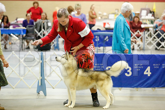 _JJ_7011-AmarilloSept2014-HR3
