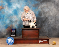 Chihuahua Long Coat #12 Fri WBBOWBOSM Judge Mary Jane Carberry