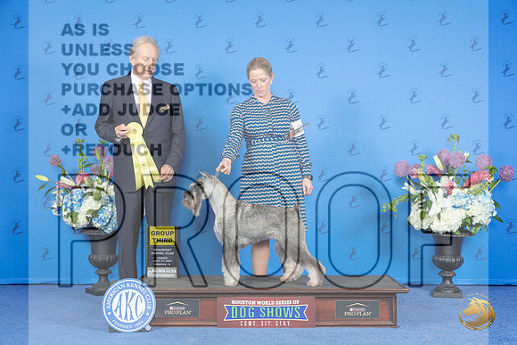 Schnauzer Standard #70 SUN G3 Judge James Moses__JP_0827_Houston_2024_HR3
