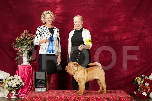 _ST_2658-BeltonJan2015IABCA-HR3