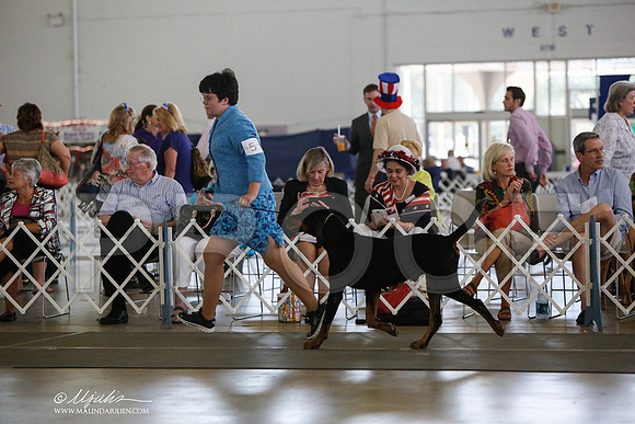 _JJ_2674-DallasJul2014-HR3