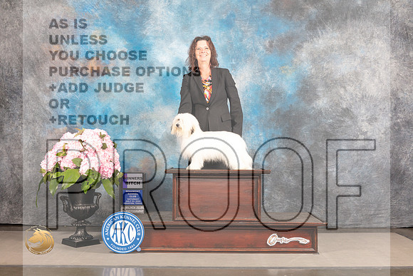 Coton #12 Sat WB Judge Patricia Sosa_MJ_6974_Houston_2022_HR3