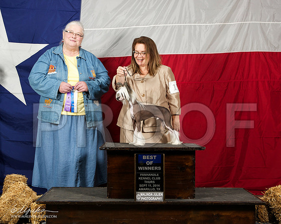 _ST_1423-AmarilloSep2014-HR3