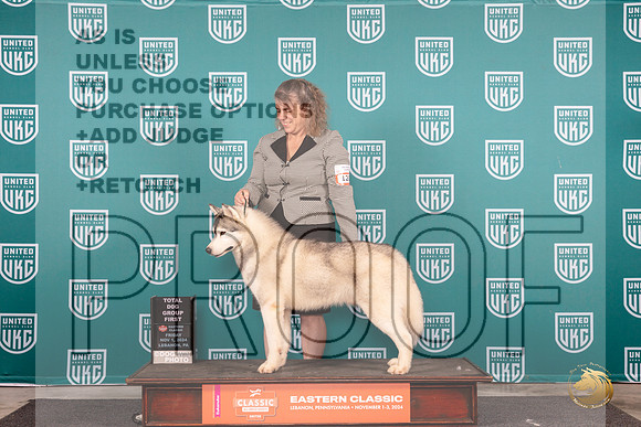 Siberian Husky #120 Fri G1 Judge Dr Kathryn Baxter__JP_1828_UKCEastern_2024_HR3