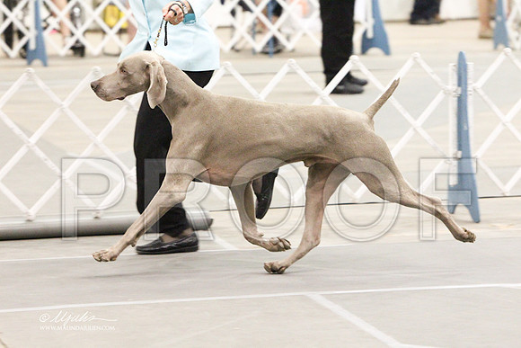 GrpSportSat-2773LR
