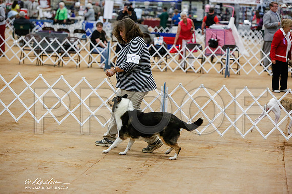 _JN_2911-TxArJun2014-HR3