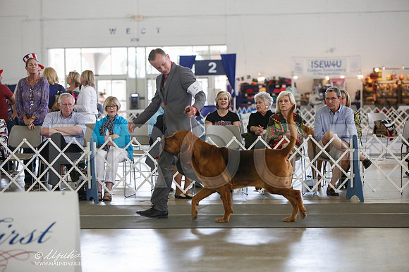 _JJ_2781-DallasJul2014-HR3