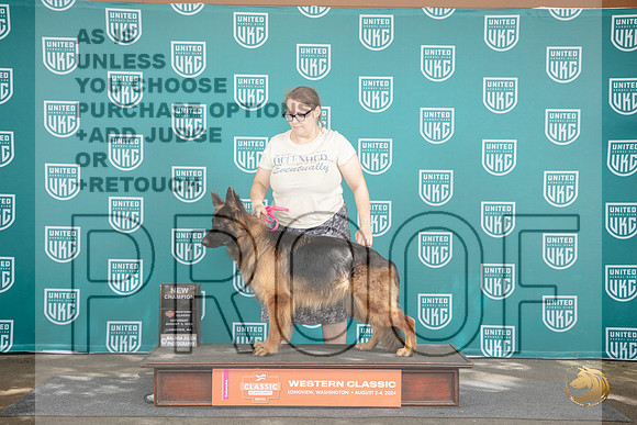 German Shepherd Dog #354 Fri BOB BM Champ BOW G2 No Judge __JP_1355_Longview WA_2024_HR3