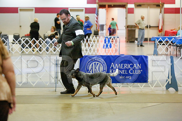 _JJ_2802-AmarilloSept2014-HR3