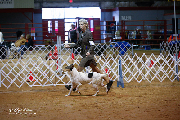 CollieS-3843-GRJan14-HR