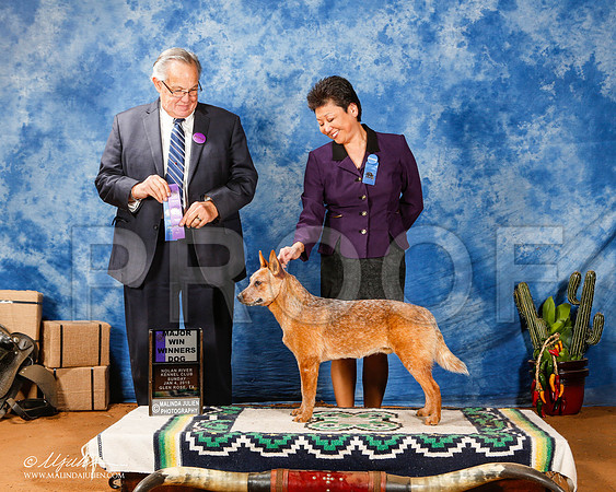 _ST_1416-2-GlenRoseJan2015-HR3
